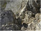 Rifugio Dibona - Bivacco Baracca degli Alpini